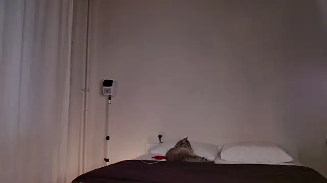 Milky   Way online show from 10/05/25, 03:10