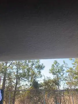 Snapshot of lolabunny9 chatting on 01/28/25, 04:30 lolabunny9 online show from 01/28/25, 04:30