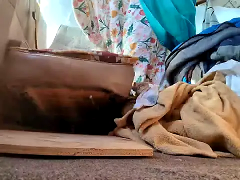 klamper online show from 01/28/25, 07:42