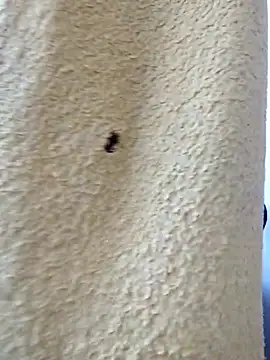 david geam online show from 03/20/26, 06:51