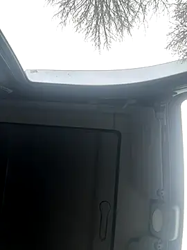 Lionayowe online show from 11/19/25, 10:59