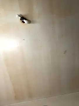 Snapshot of Tristris100 chatting on 11/19/25, 03:56 Tristris100 online show from 11/19/25, 03:56