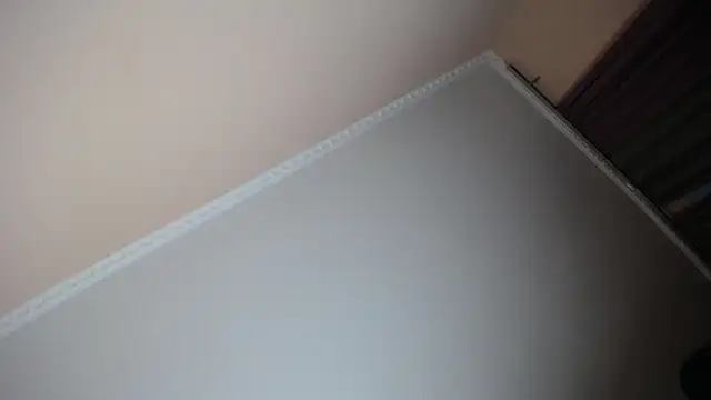 Milka Web online show from 11/29/25, 06:27