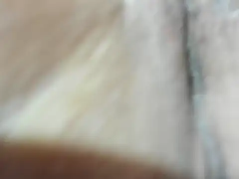 foxy-porn1 online show from 03/08/26, 03:16