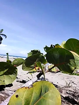 Luna-Natural online show from 12/14/25, 04:23