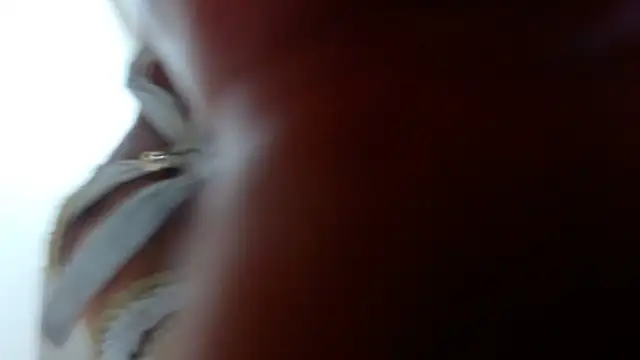 Snapshot of Ixchel_Anaid chatting on 03/14/25, 12:10 Ixchel Anaid online show from 03/14/25, 12:10