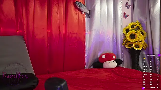 Rachellkors online show from 02/17/25, 11:34