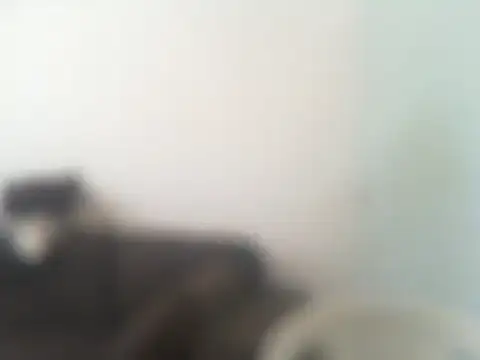 ConradinhoBR50 online show from 04/19/26, 02:27