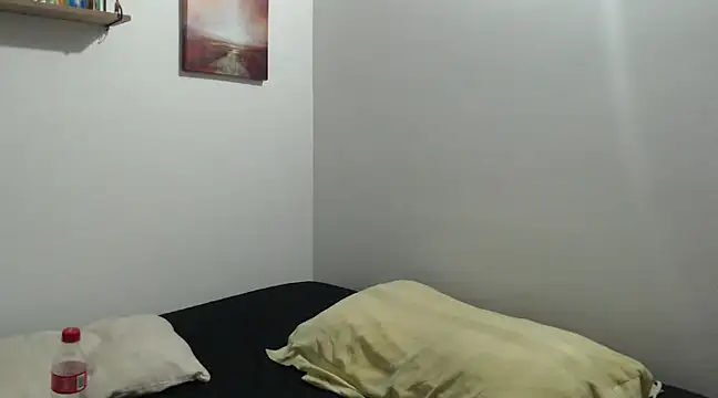 Snapshot of stevenosori chatting on 01/10/25, 01:32 stevenosori online show from 01/10/25, 01:32