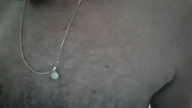 Snapshot of Leo_Big chatting on 02/26/26, 10:14 Leo Big online show from 02/26/26, 10:14