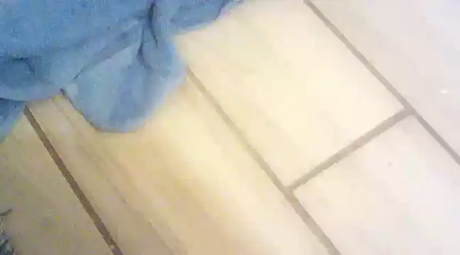 blasphemous online show from 01/28/25, 10:45