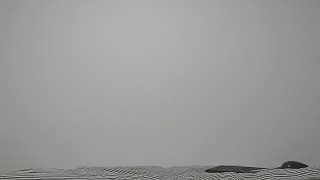 ABIGGAILL online show from 05/19/26, 08:42