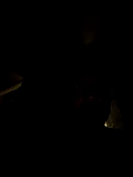 tropikboy online show from 03/21/26, 12:48