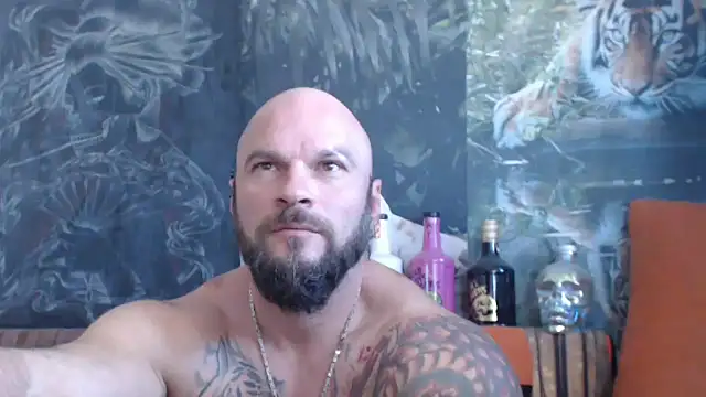 Snapshot of viking_30 chatting on 09/16/25, 06:47 viking 30 online show from 09/16/25, 06:47
