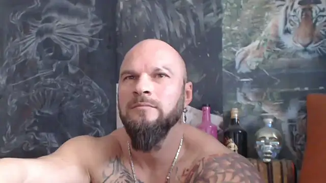 viking 30 online show from 11/06/25, 08:15