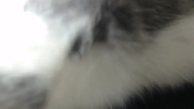 prettyangelsquirt online show from 04/08/26, 11:27