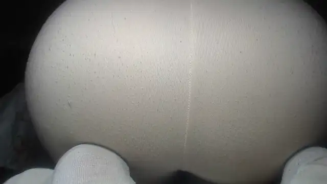 prettyangelsquirt online show from 07/14/26, 02:49