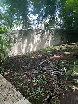 Snapshot of JohnnyBigShot chatting on 09/28/25, 03:50 JohnnyBigShot online show from 09/28/25, 03:50