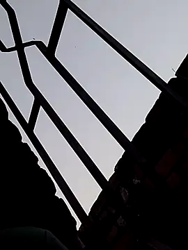 Shahidraza123465  online show from 11/18/25, 11:14