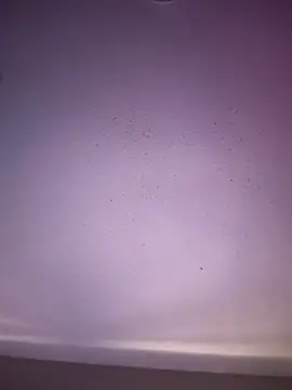 Snapshot of 6lue6a6y69 chatting on 11/01/25, 05:20 6lue6a6y69 online show from 11/01/25, 05:20