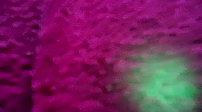 Snapshot of CZboobs chatting on 02/26/25, 08:54 CZboobs online show from 02/26/25, 08:54