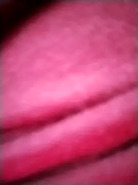 EvaCristal online show from 11/28/25, 09:12