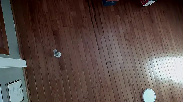 riverside197575 online show from 10/23/25, 09:08