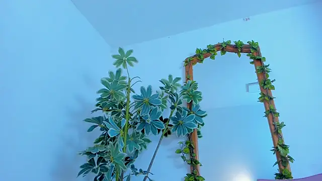 NinaWong online show from 02/26/26, 07:02