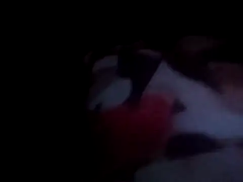 Snapshot of PrinceNoAlbert chatting on 12/15/24, 01:02 PrinceNoAlbert online show from 12/15/24, 01:02