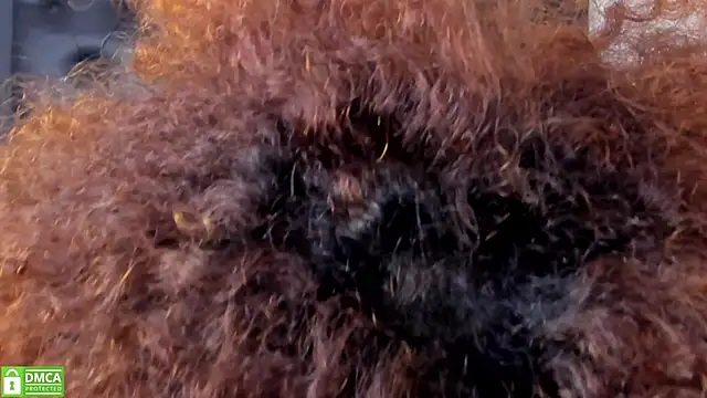 Alika Shanty online show from 03/20/26, 05:51