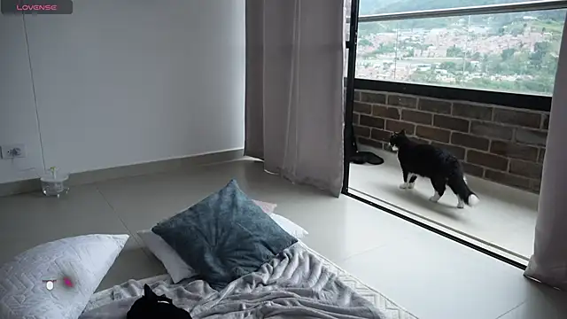 Veronica ar online show from 02/12/25, 07:24