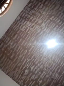 catdool online show from 12/14/25, 12:21