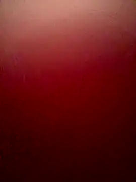 Snapshot of sweetAli_ chatting on 10/04/25, 11:25 sweetAli online show from 10/04/25, 11:25