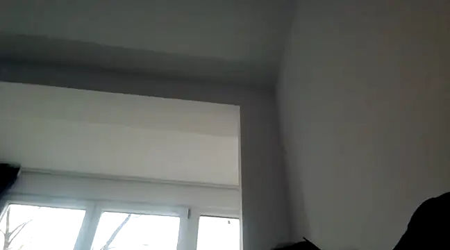 FallenDevil online show from 12/27/24, 01:18