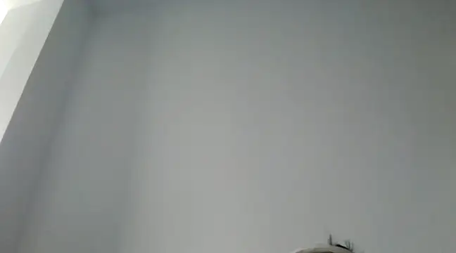 FallenDevil online show from 12/29/24, 11:40