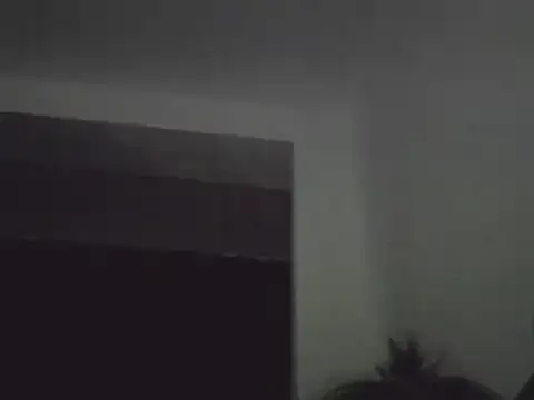 FallenDevil online show from 01/24/25, 07:49