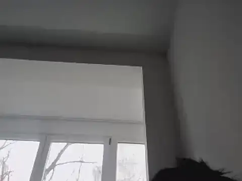 FallenDevil online show from 01/25/25, 11:55