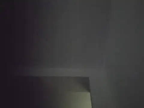 FallenDevil online show from 01/30/25, 07:04