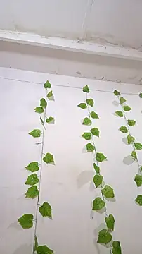 shayna all online show from 11/25/25, 06:08