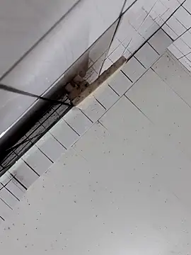 Snapshot of cindy01113520 chatting on 10/02/25, 02:57 cindy01113520 online show from 10/02/25, 02:57