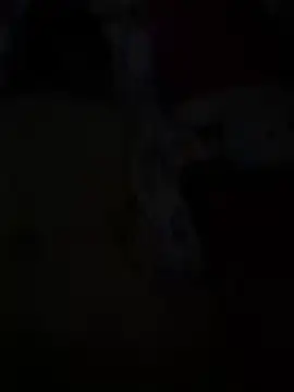 Snapshot of Romeo19190 chatting on 06/04/26, 02:39 Romeo19190 online show from 06/04/26, 02:39