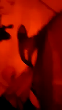 Misspadrona88 online show from 03/04/26, 09:32