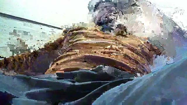 Billywax online show from 01/08/26, 09:11