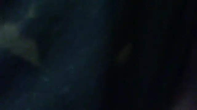 Billywax online show from 02/02/26, 09:30