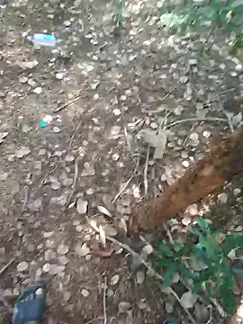 rameshmry1 online show from 02/21/26, 08:59