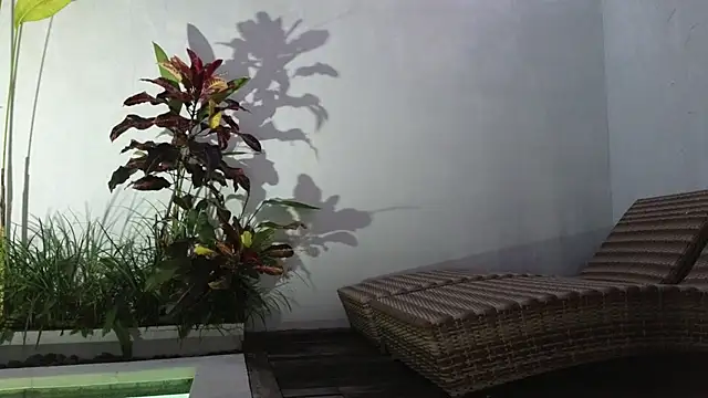 TammiLou online show from 03/06/25, 10:52