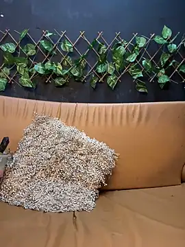 uma patna000 online show from 01/12/25, 09:51