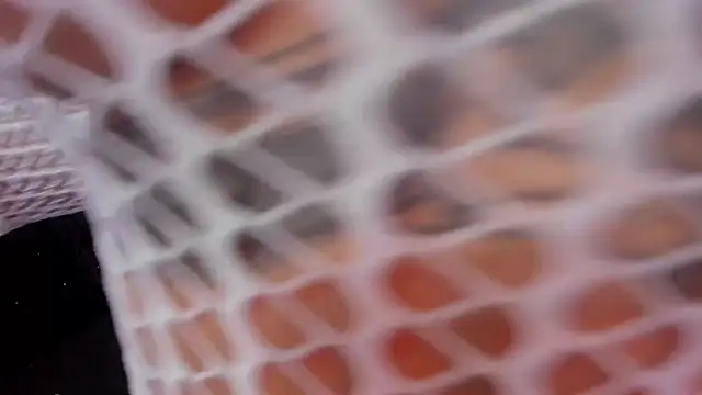 rosalia-04 online show from 11/10/25, 06:07