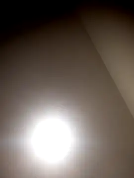 sua sub  online show from 03/23/26, 08:29