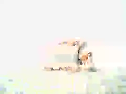 mellow smoke online show from 04/10/26, 08:02